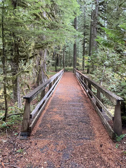 Lost Creek Campground Picture 6