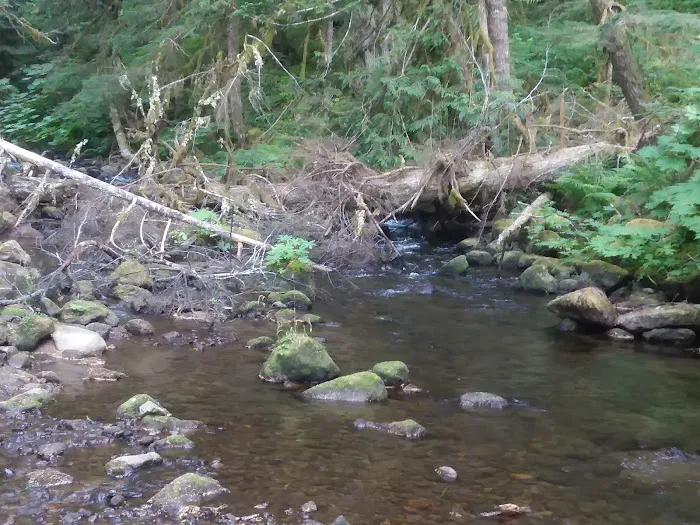 Lost Creek Campground Picture 8