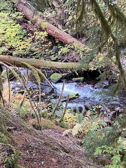 Lost Creek Campground Picture 5