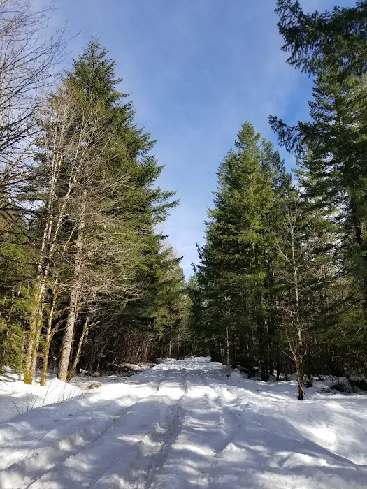 Lost Creek Campground Picture 10