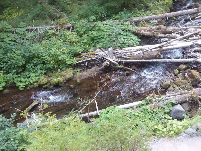 Lost Creek Campground Picture 9