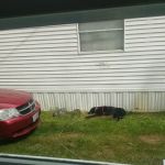 Old Lake Shore Co-Op