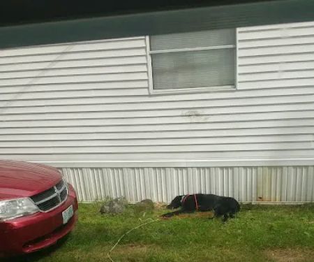 Old Lake Shore Co-Op