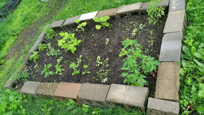 Old Lake Shore Co-Op Picture 8