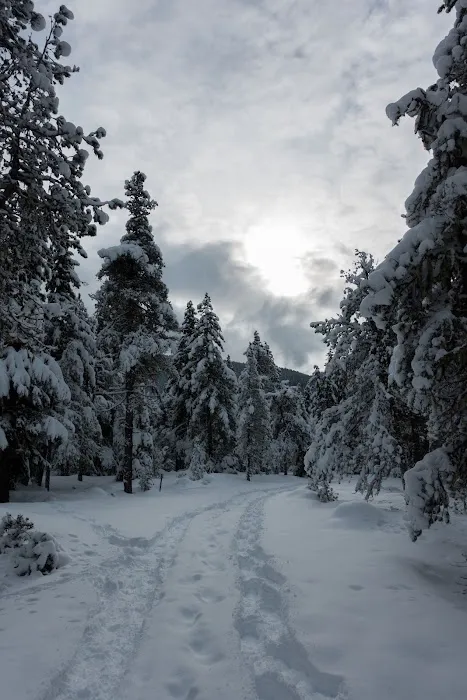 McNeil Campground Picture 6