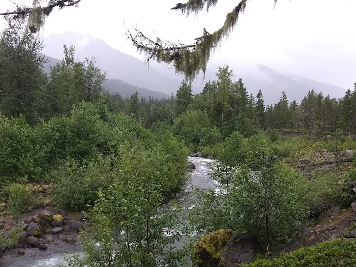 McNeil Campground Picture 4