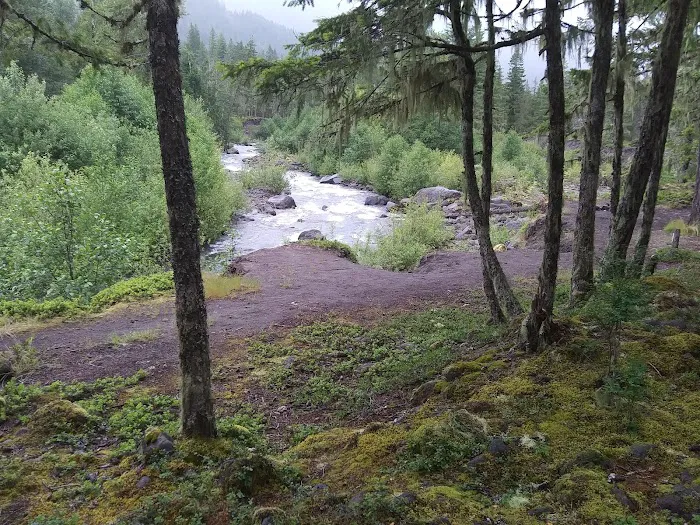 McNeil Campground Picture 3