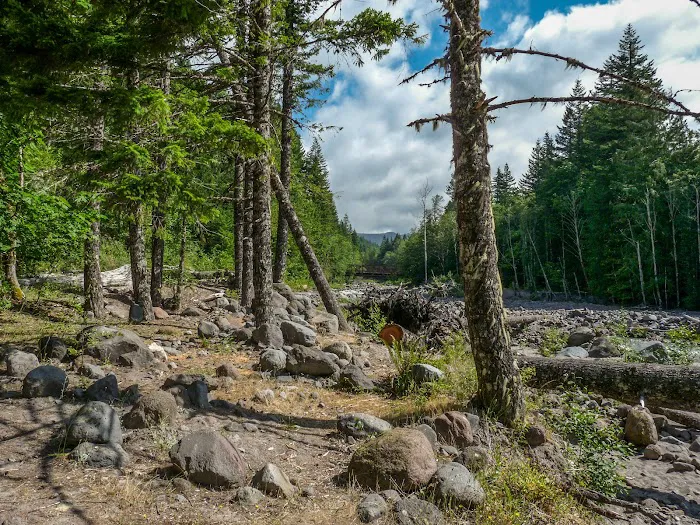 McNeil Campground Picture 8