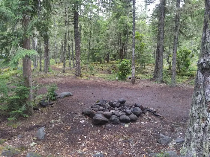 McNeil Campground Picture 5