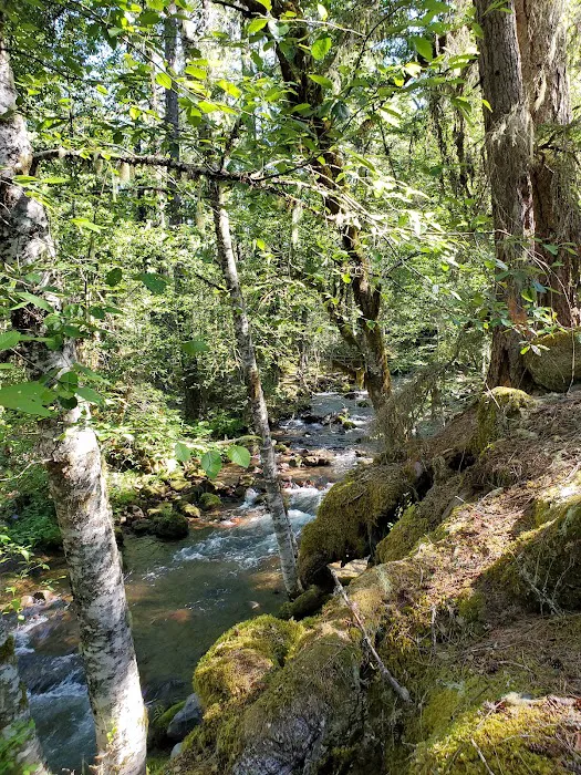 Riley Horse Campground Picture 1