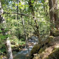 Riley Horse Campground ico