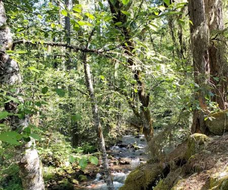 Riley Horse Campground