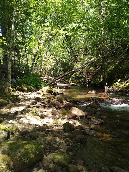 Riley Horse Campground Picture 7