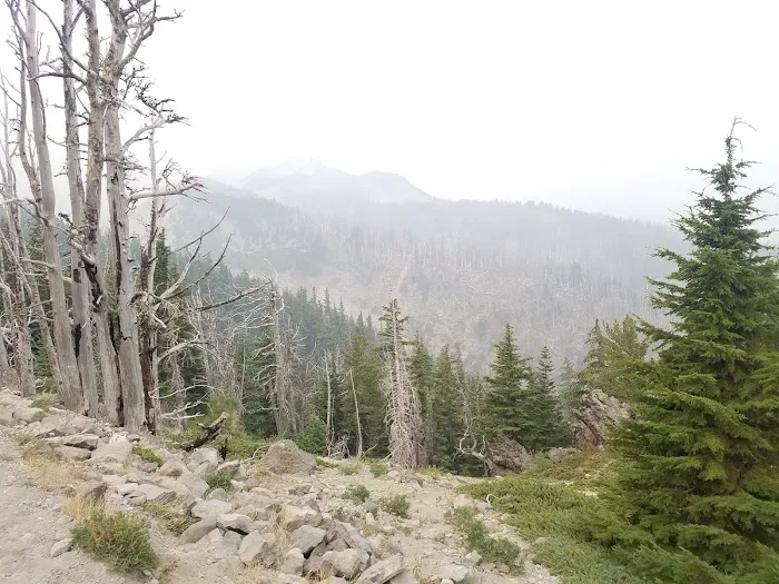 Cloud Cap Saddle Campground Picture 6