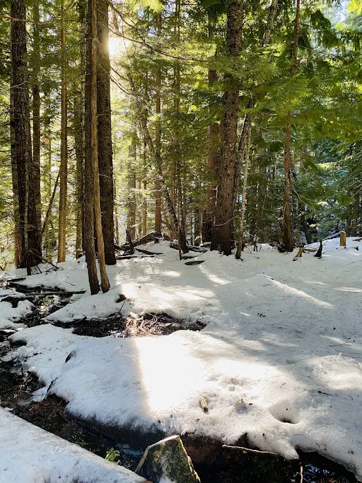 Cloud Cap Saddle Campground Picture 10