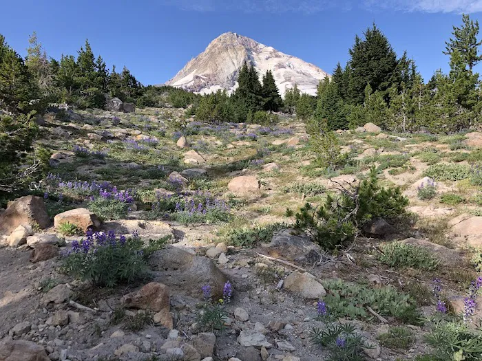 Cooper Spur Trail Shelter Picture 2