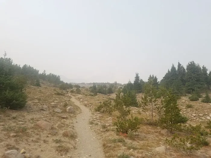 Cooper Spur Trail Shelter Picture 6