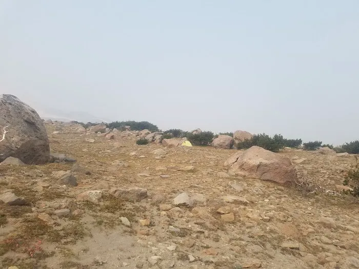 Cooper Spur Trail Shelter Picture 8