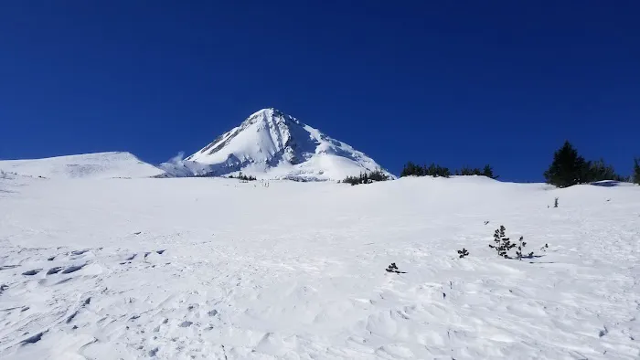 Cooper Spur Trail Shelter Picture 7