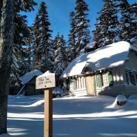 Tilly Jane Guard Station ico