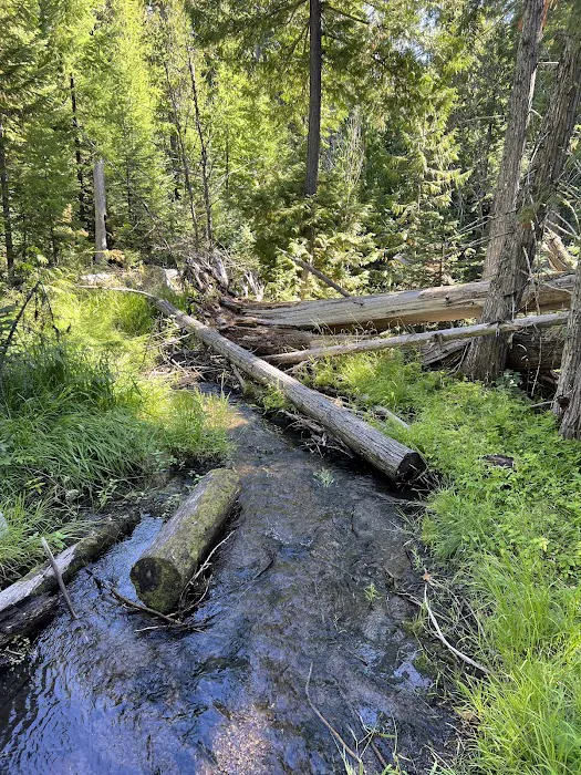 Lower Eightmile Crossing Campground Picture 5