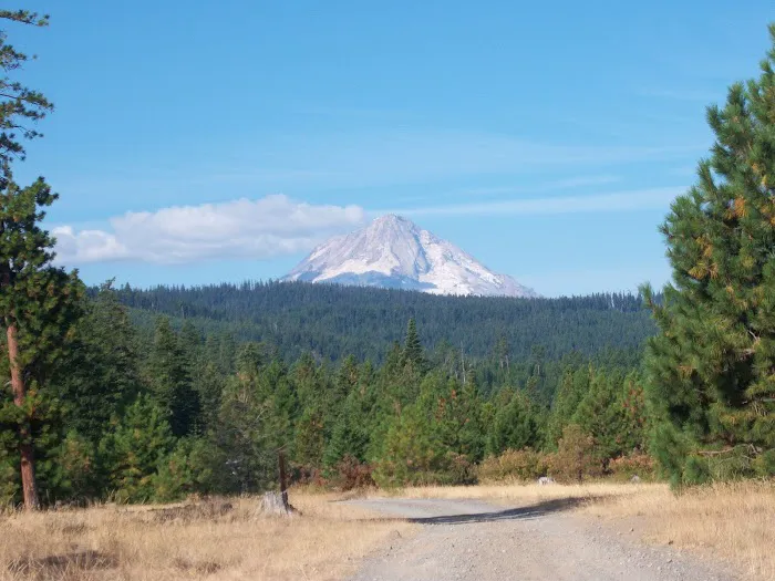 Lower Eightmile Crossing Campground Picture 8