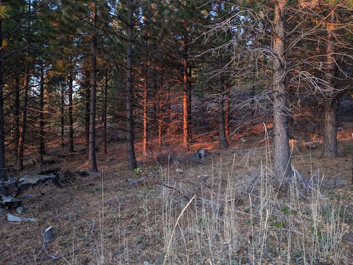 Eightmile Campground Picture 9