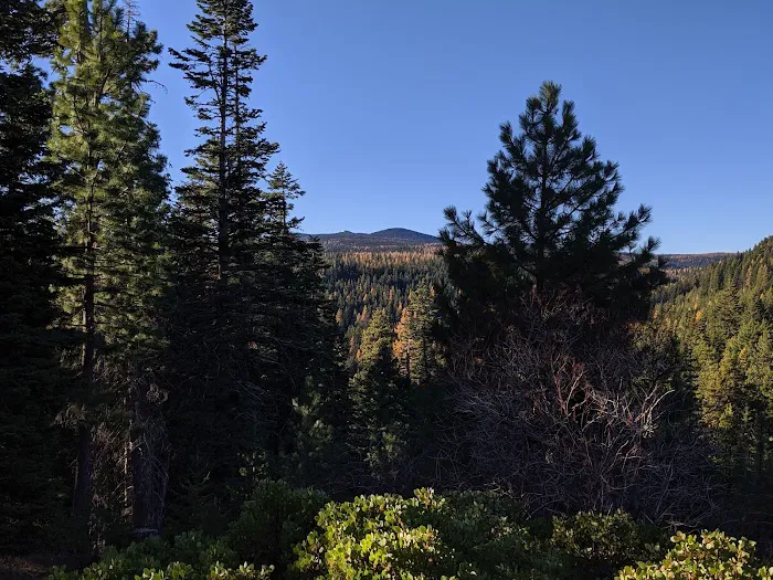 Eightmile Campground Picture 5