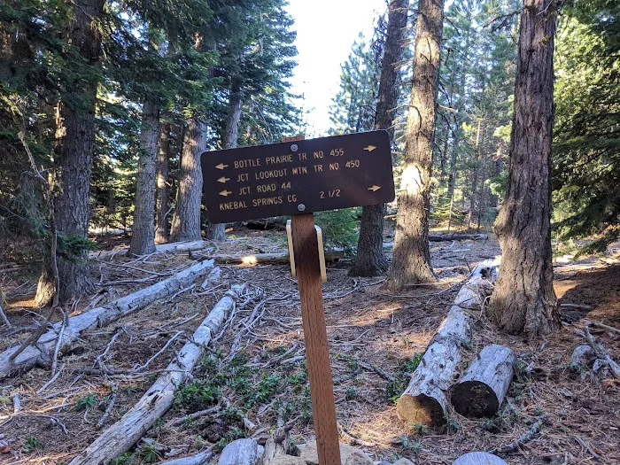 Eightmile Campground Picture 2