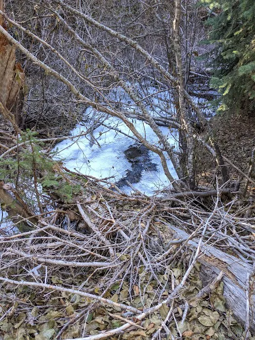 Eightmile Campground Picture 4