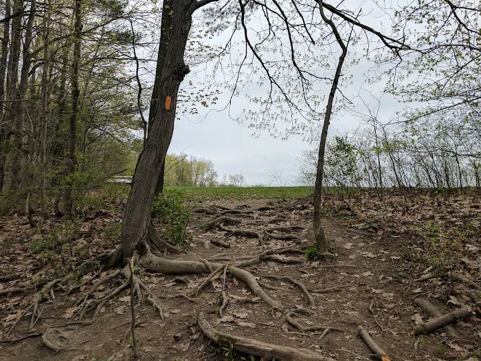 Hanshaw Village Mobile Home Park Picture 8