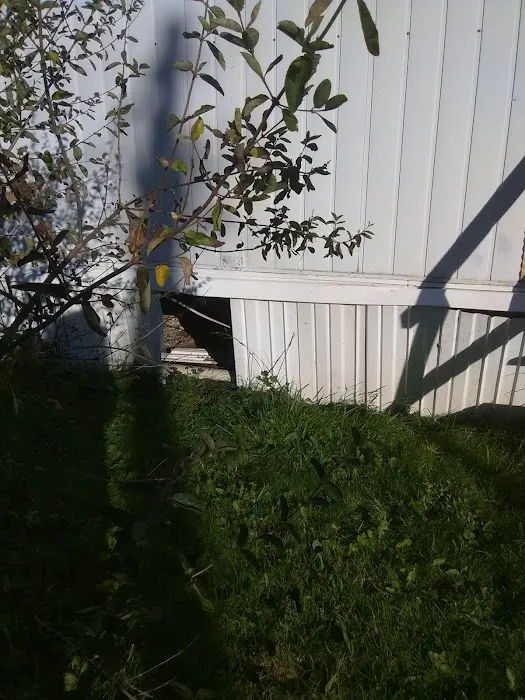 Hanshaw Village Mobile Home Park Picture 1