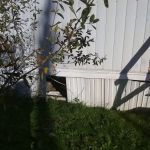 Hanshaw Village Mobile Home Park