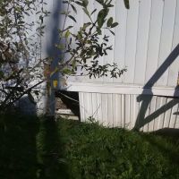 Hanshaw Village Mobile Home Park ico