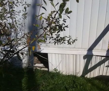 Hanshaw Village Mobile Home Park