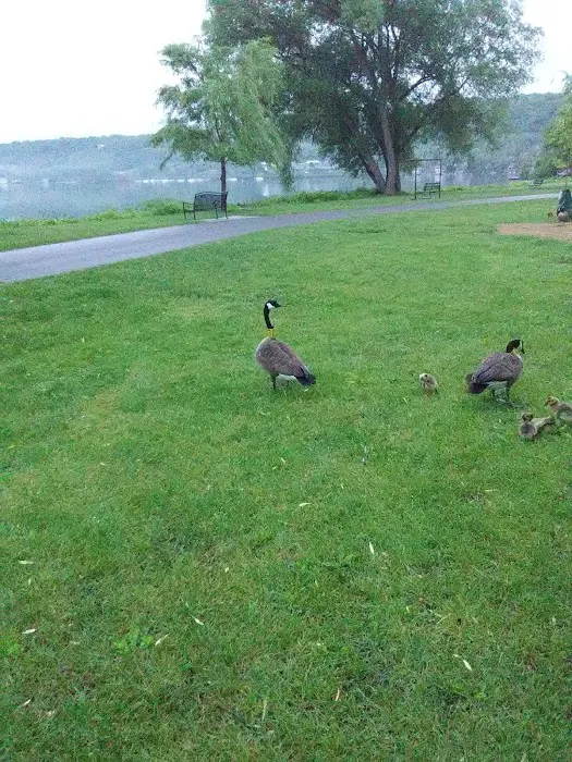 Hanshaw Village Mobile Home Park Picture 6