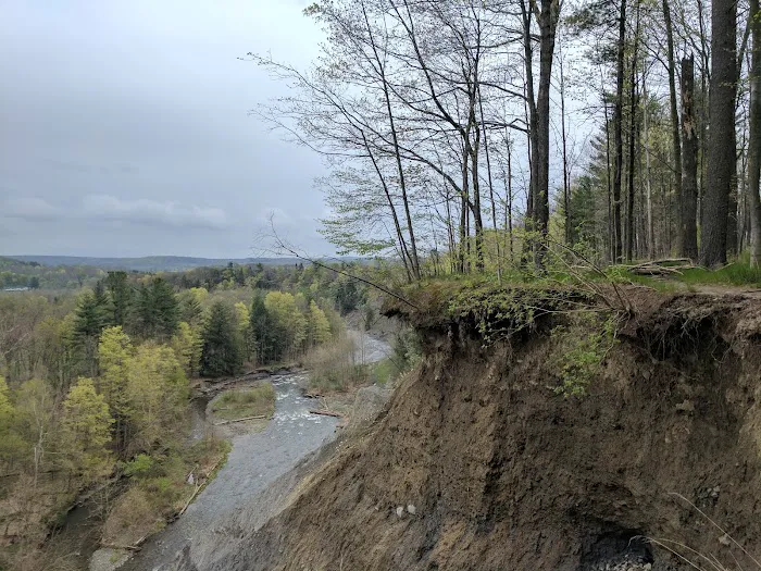 Hanshaw Village Mobile Home Park Picture 9