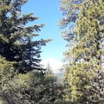 Pebble Ford Campground