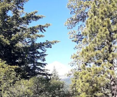 Pebble Ford Campground