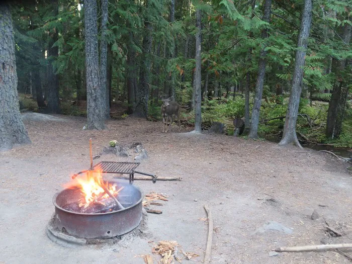 Pebble Ford Campground Picture 6