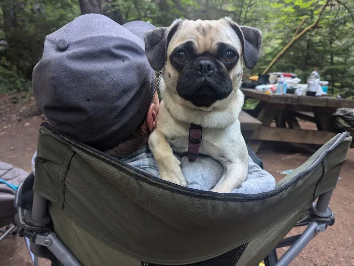 Pebble Ford Campground Picture 7