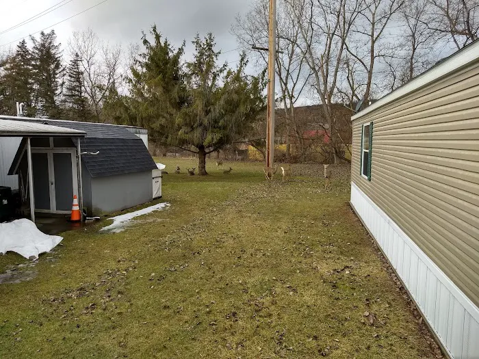 Nate's Floral Estates Picture 3