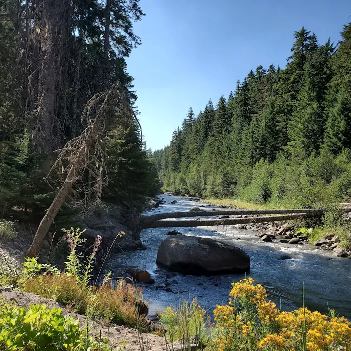 Sherwood Campground Picture 5