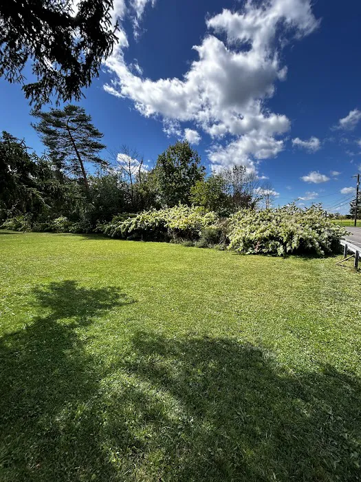 Long Meadow Mobile Home Court Picture 1