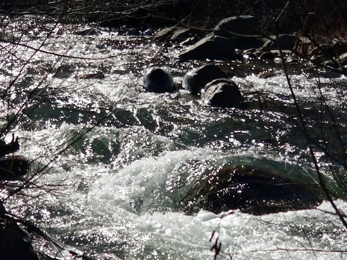 Nottingham Campground Picture 3