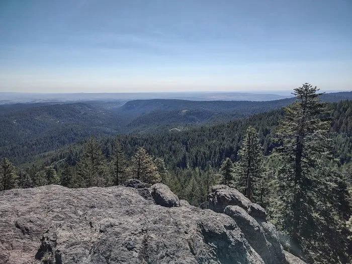 Fifteen Mile Campground Picture 5