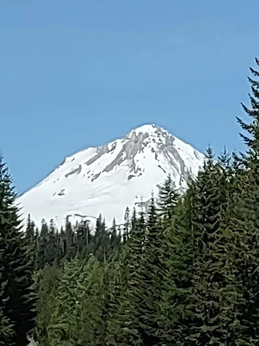 Fifteen Mile Campground Picture 3