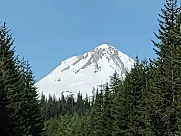 Fifteen Mile Campground Picture 4