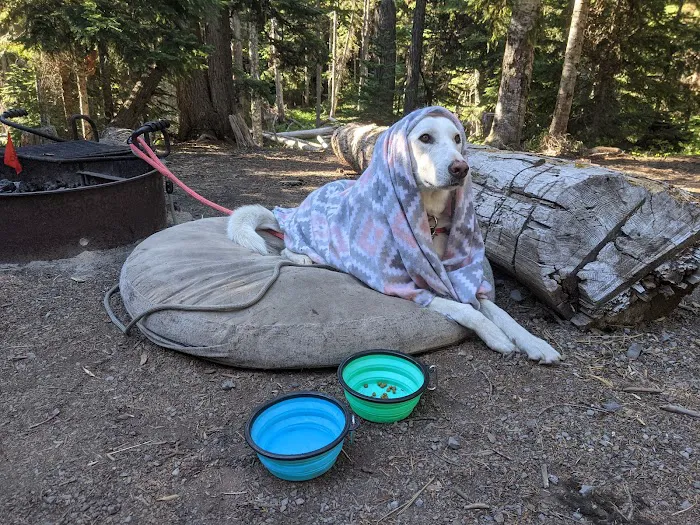 Fifteen Mile Campground Picture 2