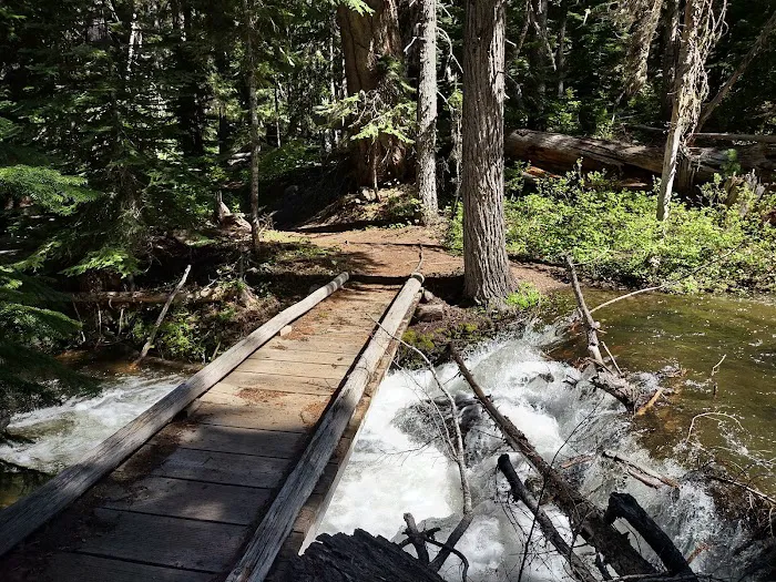 Fifteen Mile Campground Picture 6